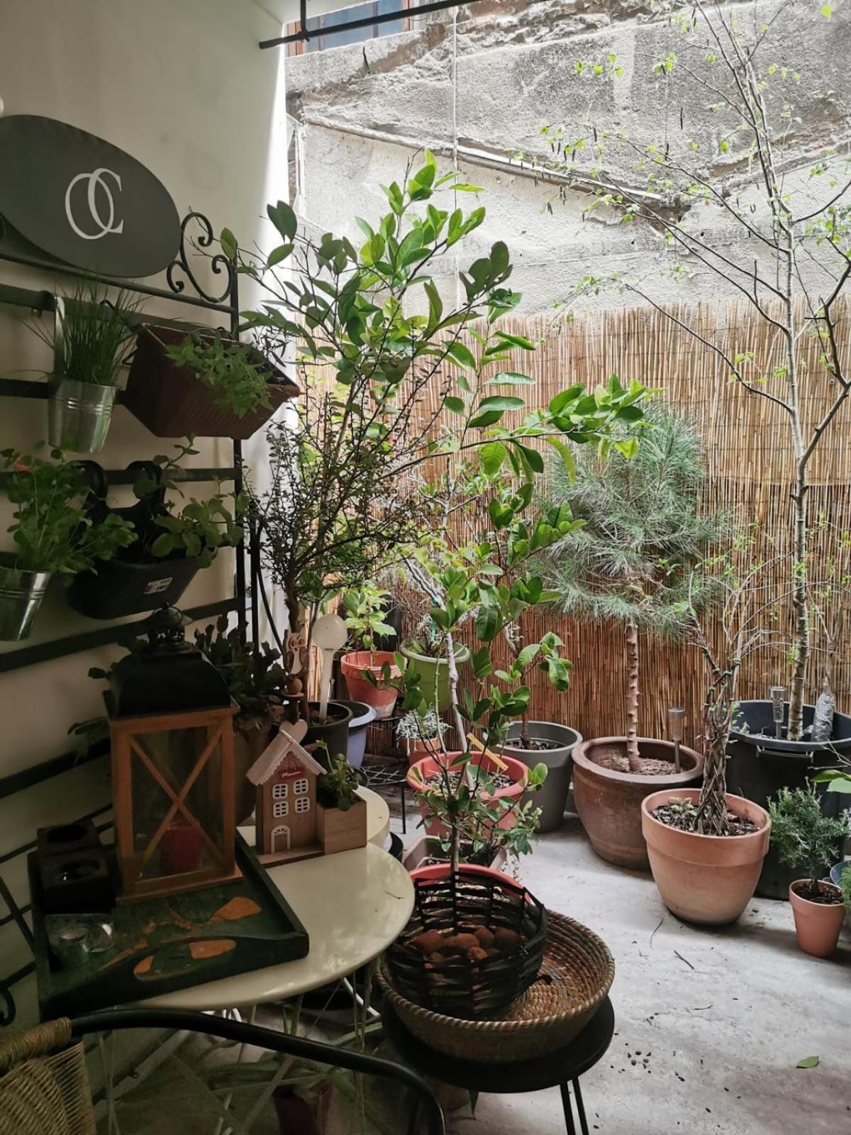 La Maison D'Aromarie Турню Екстериор снимка